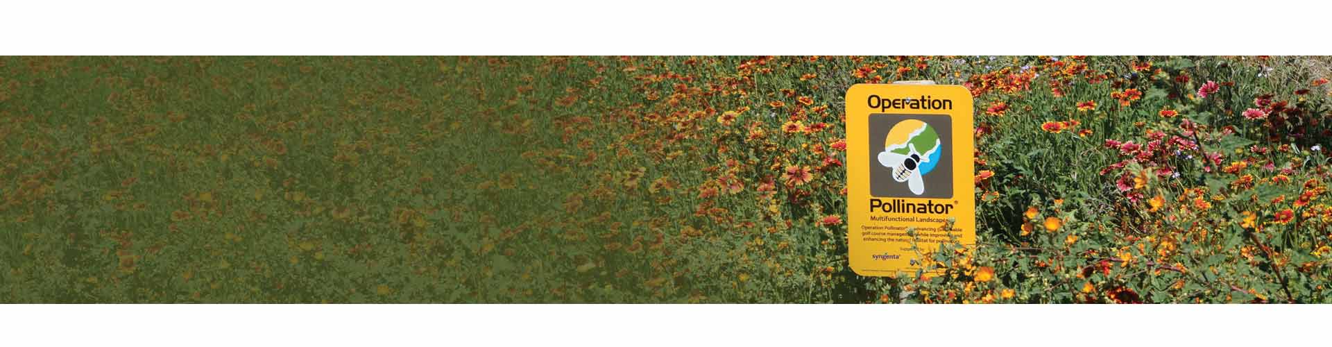 Operation Pollinator