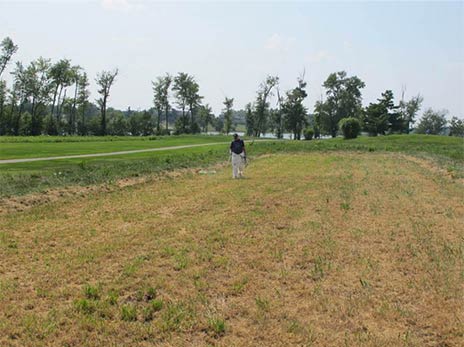 Image of a lawncare operator establishing habitat herbicide on turfgrass.