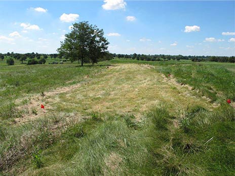 Establishing photo of habitat being created.
