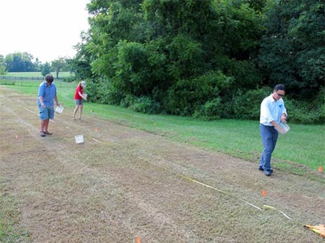 Image of lawncare operators establishing habitats for turf by laying seeds.