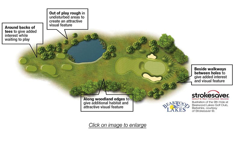 Diagram showing tips for selecting habitat locations.